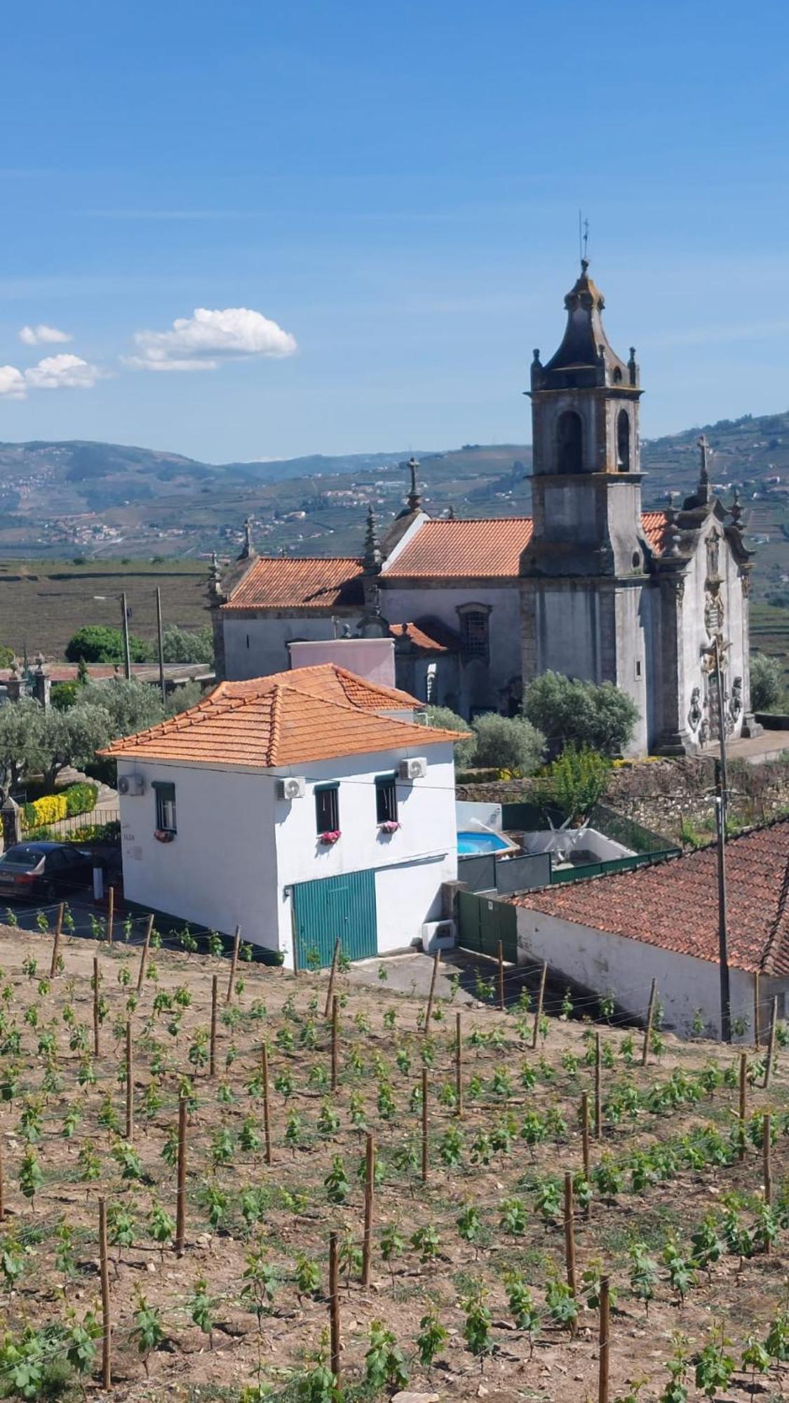 Casa Ceci Douro Villa Cidadelhe  Exterior photo